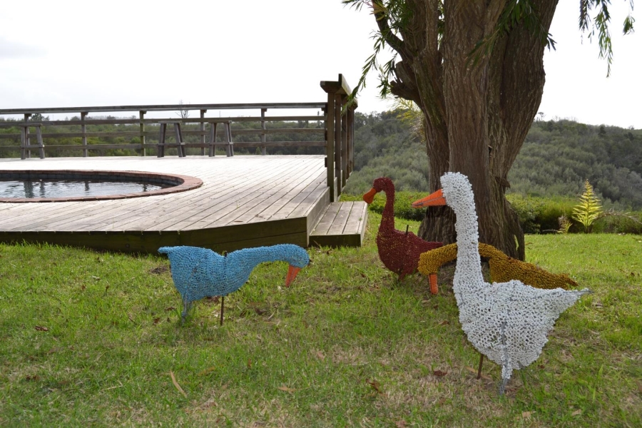 Commercial Property for Sale in Roodefontein AH Western Cape